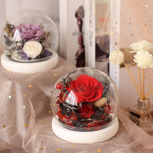 Anniversary Gift Preserved Flower Rose Preserved Flower Gift Box Glass Cover 1Pcs